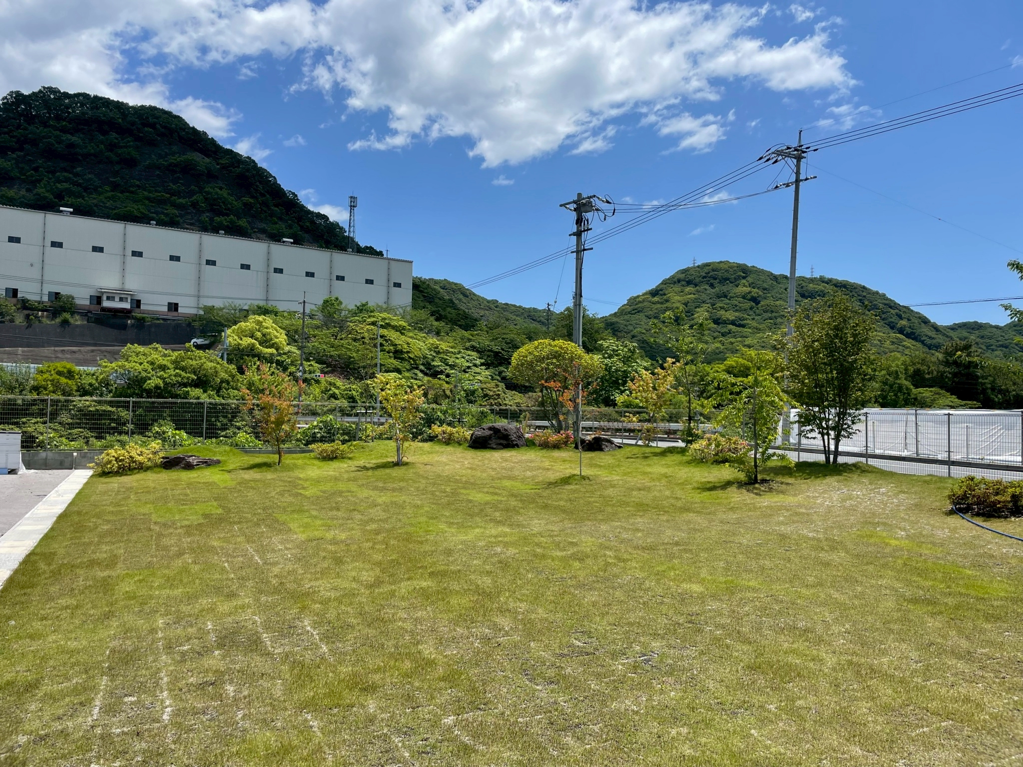 足場仮設剪定（松・高木対応）