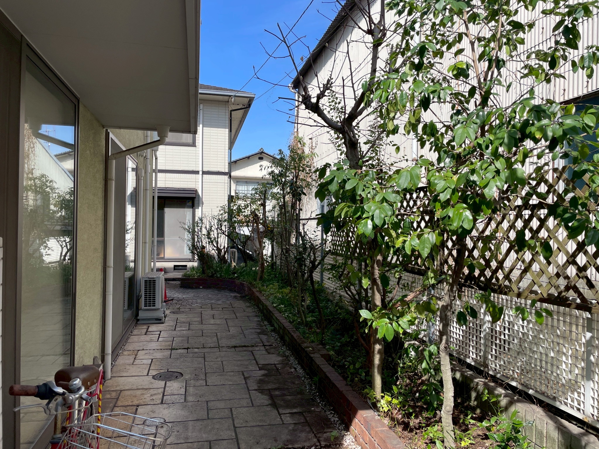 剪定後の庭木