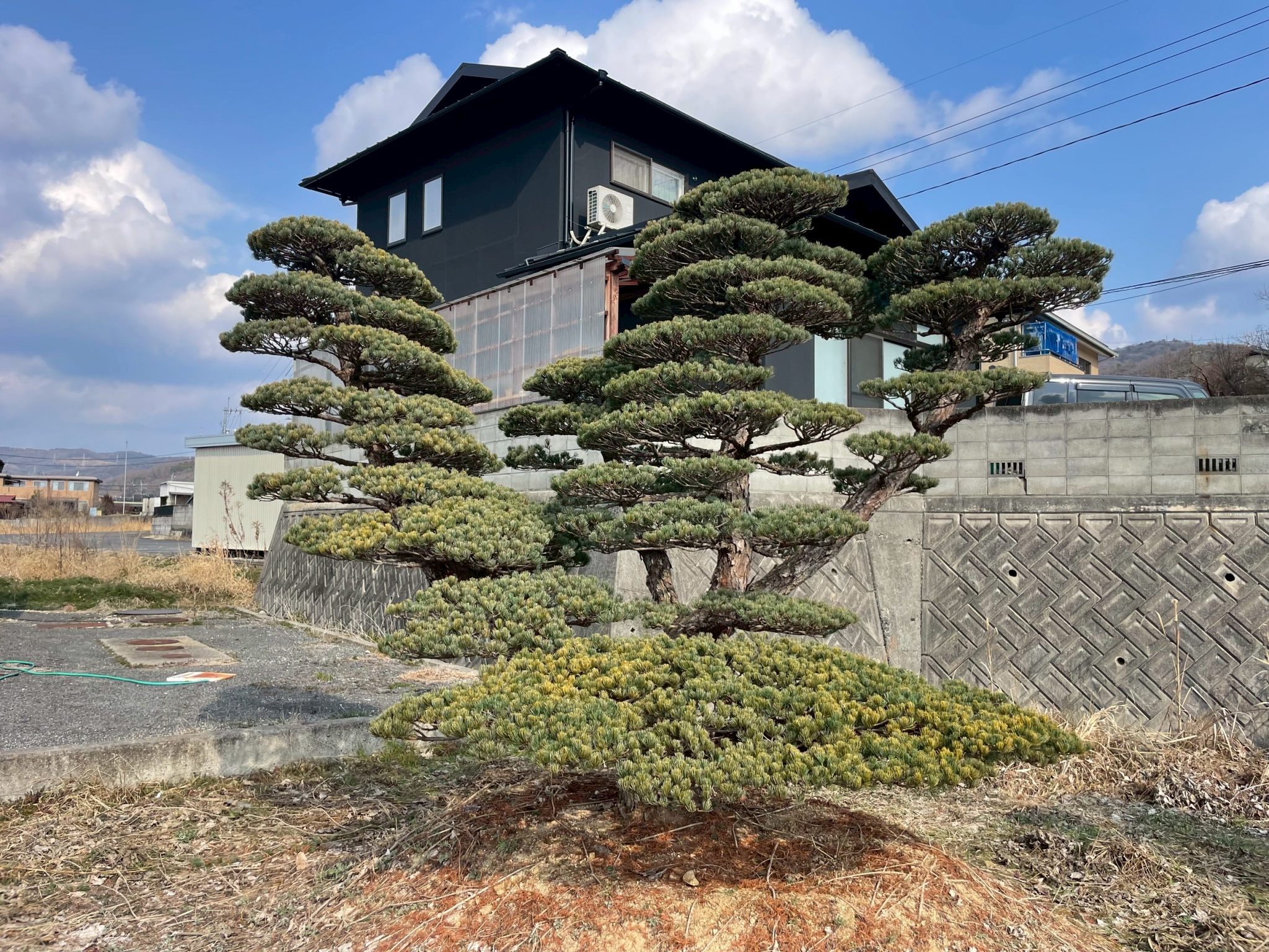 職人たちの現場
